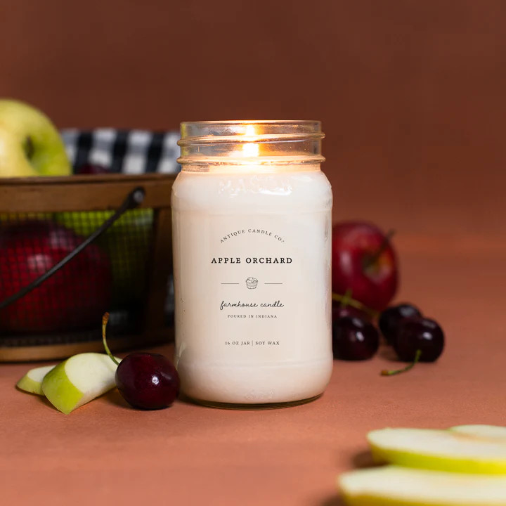 Apple Orchard 16 oz candle | Antique Candle Co.
