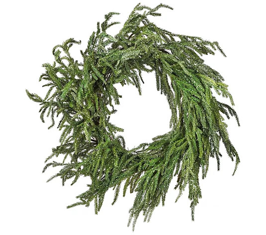 24" Iced Garden Norfolk Pine Wreath by Valerie - QVC.com | QVC
