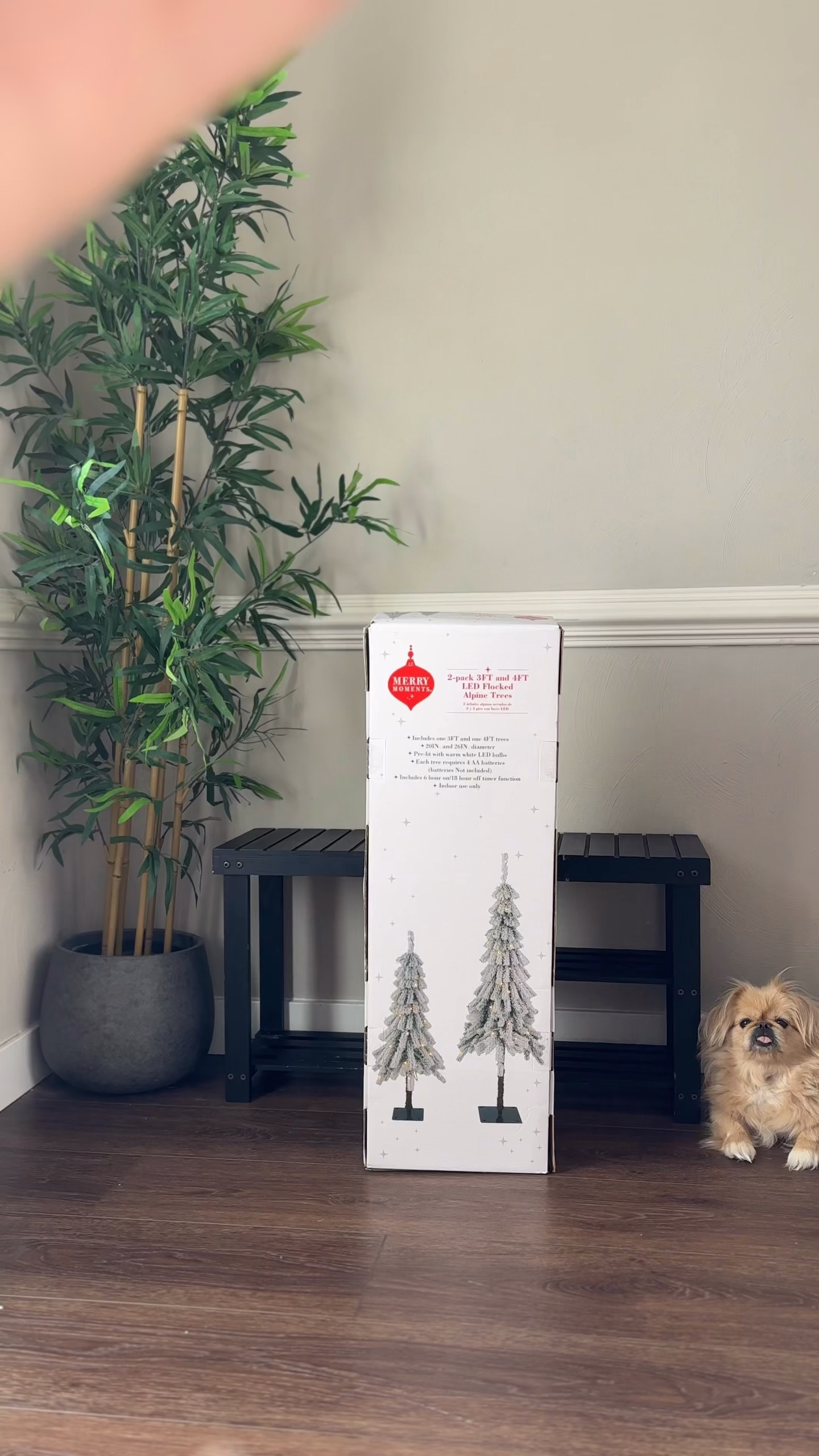 The prettiest downswept flocked trees to make every little corner feel instantly cozy & Christmas ready 🎄
This set comes with two pre-lit trees a 4ft & a 3ft & they’re absolutely stunning. Perfect for adding that soft, snowy glow anywhere in your home ❄️✨

Comment “Tree” to get the link sent straight to your inbox 🫶🏻

















.
.
.
.
.
.
#christmasdecor #christmastree #holidaydecor #cozychristmas #holidaydecorating #holidayseason 

#LTKSeasonal #LTKHoliday #LTKGiftGuide