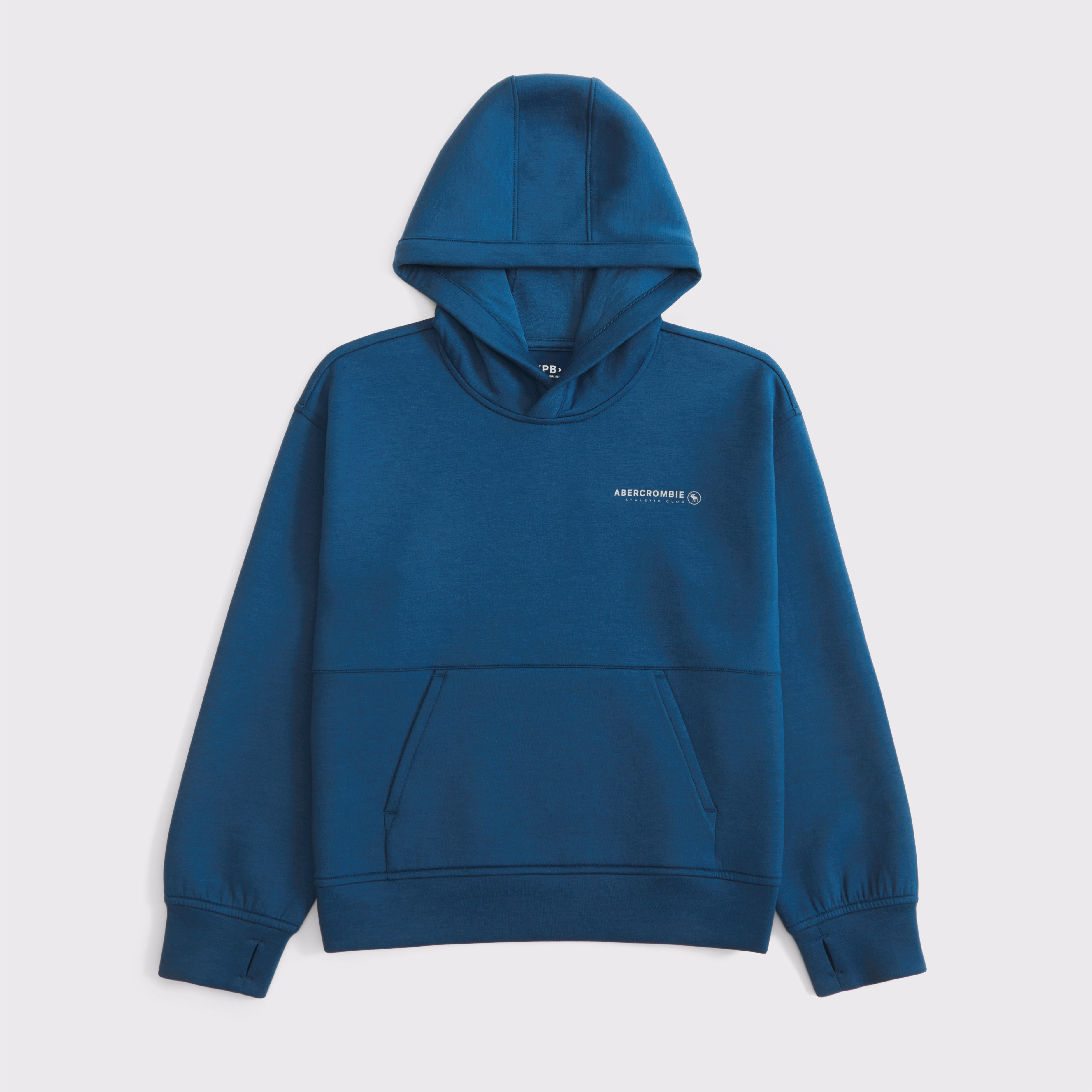 ypb neoknit logo popover hoodie | Abercrombie & Fitch (US)