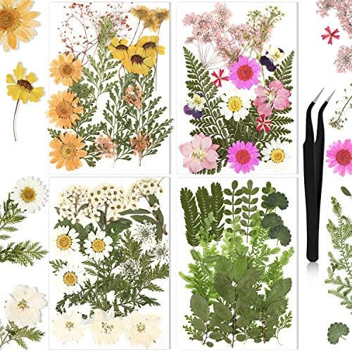Pressed Flowers Resin Flowers for Resin Mold, Real Daisy Dried Flower Leaves Natural with Tweezer... | Amazon (US)