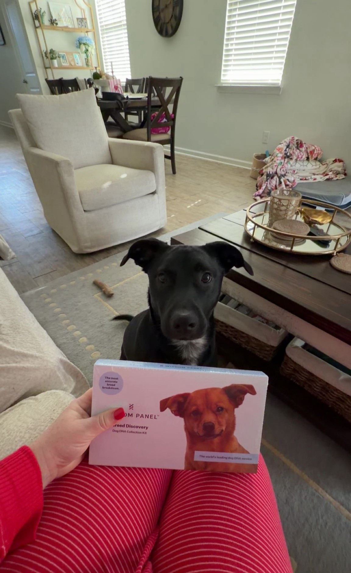 Can’t wait to find out what our baby boy is 🐾

#LTKU #LTKstorytime