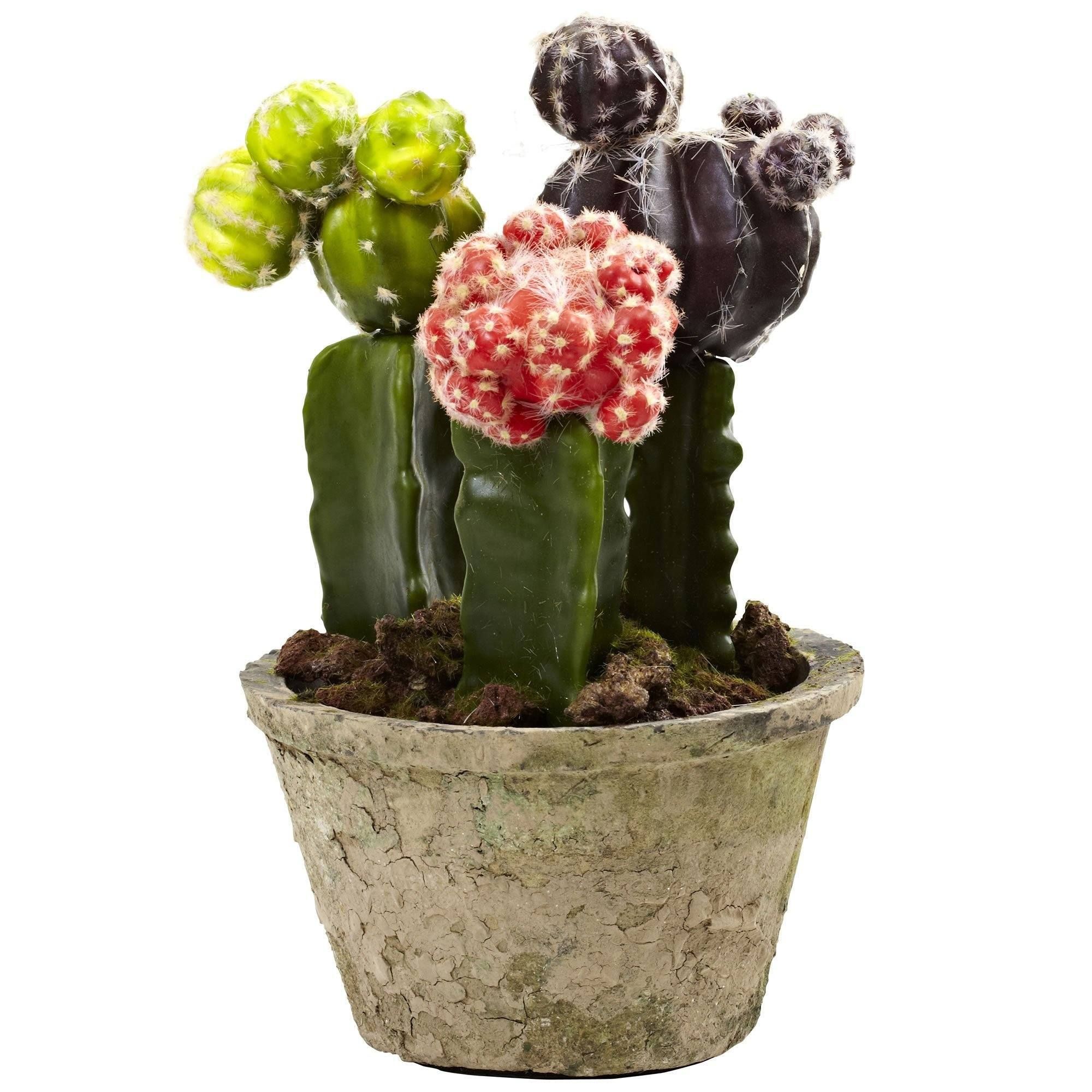 Colorful Cactus Gardens (Set of 2) | Nearly Natural | Nearly Natural