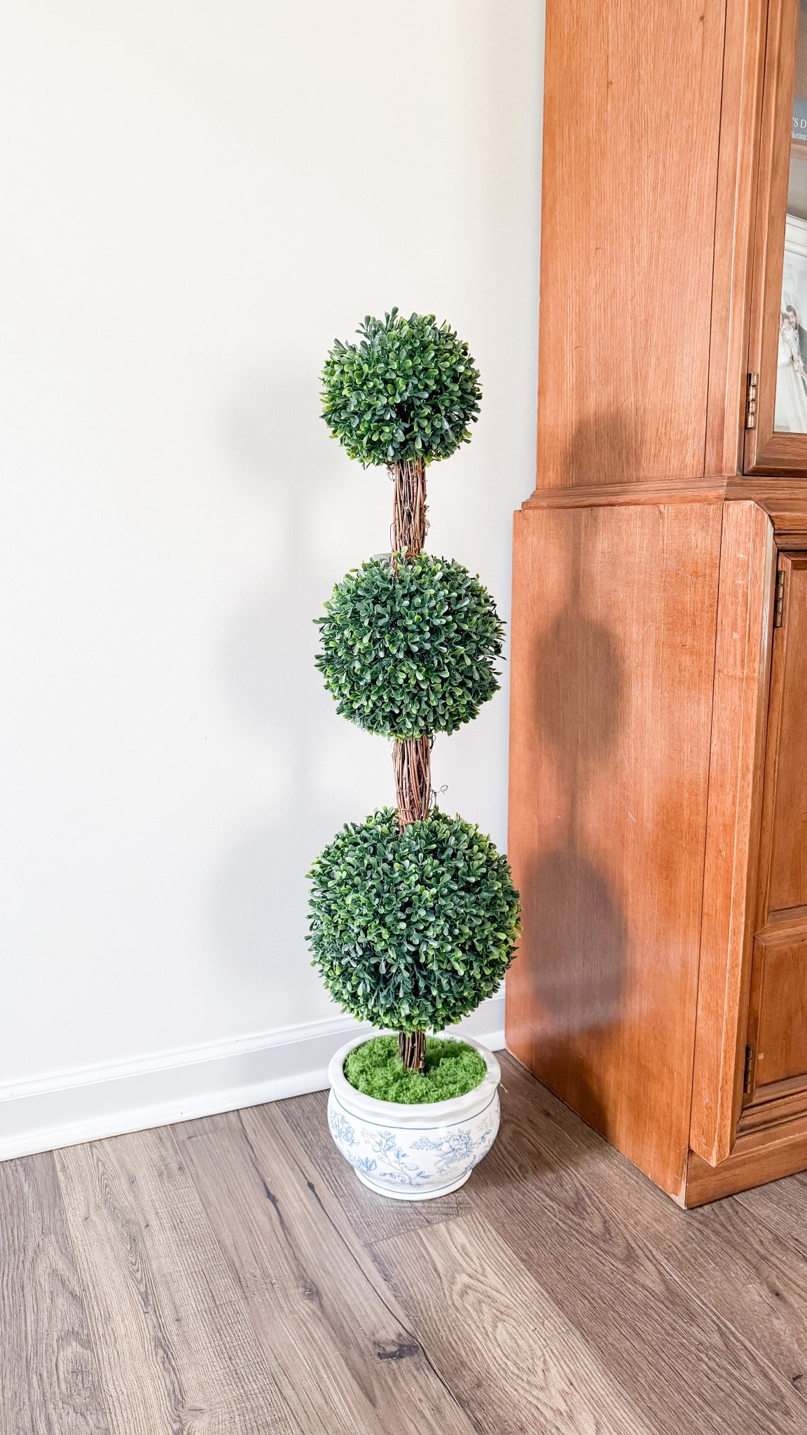 Chinoiserie potted topiary