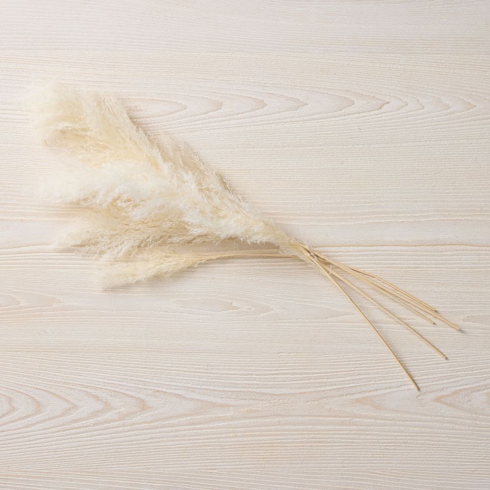 Dried Bleached Feather Grass | West Elm (US)