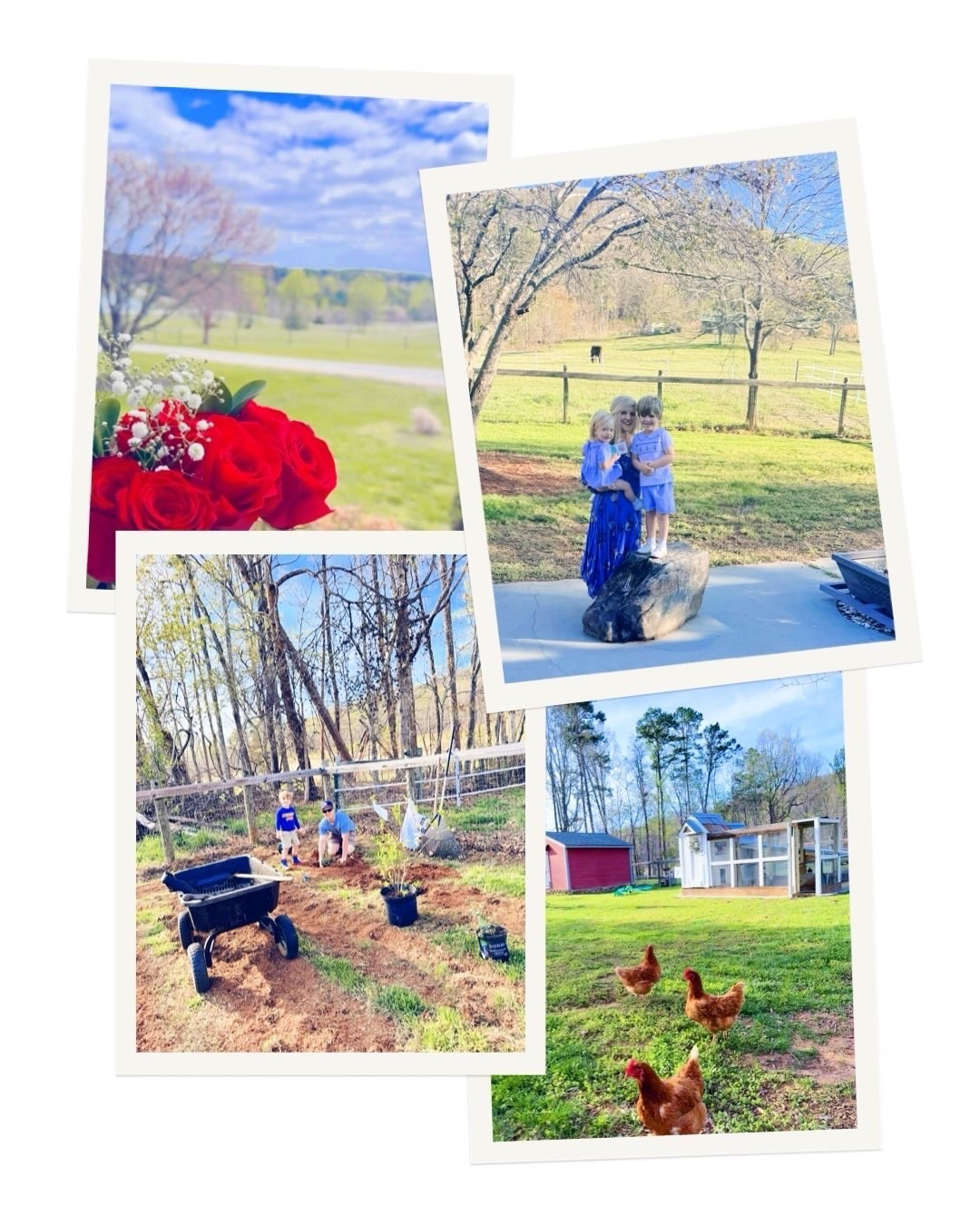 a n n i v e r s a r y  p h o t o d u m p 💒🪴💖🫐🎊🌿⚾️🥂🌳🌹🪻💫🌾🐓🧢🐴🍦🐥 #anniversarycameraroll #sweetestanniversaryyet 

The chicken coop 🐓 of my dreams built by hand 🛠️ by my sweet hubby 🥰, planting blueberry 🫐 bushes 🌳, Wes prepping the garden beds 🪵 and tilling the ground 🪏 for all my flowers 🌼 to come 💐🤭, red roses 🌹 and front porch views 🌾, beautiful walk on the dirt roads 🌿, “Daddy Coach” on the ballfield 🏟️ coaching our firstborn’s tball practice 🧢⚾️, and an “anniversary treat” out for icecream 🍦 to celebrate mommy and daddy’s love!! ❤️ The very best (!!) kind of anniversary if you ask me 🤠🚜 and excited for our “birthaversary” (as my mom called it 🥰) date night tonight to celebrate 🎉 7 years of marriage 💒 yesterday and sweet Wes’ birthday 🎂 tomorrow!! 🥳🎈This is always one busyyyy week of celebrations for our family every year and full of all the love and joy!!! 🤩🌸 #allthecelebrations #chasingbabiesraisingdreams #mykindofanniversary 
