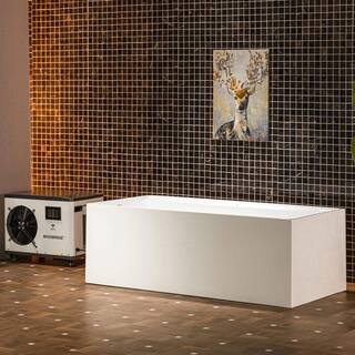 67 in. 1-Person 0-Jet Standard Cold Plunge Ice Bath Tub/Hot Tub w/ 1.3 HP Chiller and Heater,WiFi and App Remote Control | The Home Depot