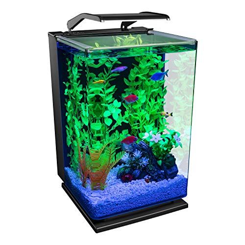 GloFish Aquarium Kit 5 Gallons, Includes Hinged Cycle Light and Hidden Filtration | Amazon (US)