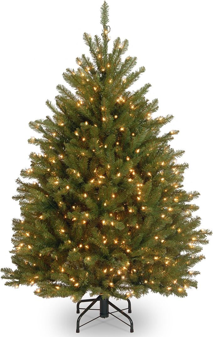 National Tree Company Pre-Lit Artificial Mini Christmas Tree, Green, Dunhill Fir, White Lights, I... | Amazon (US)