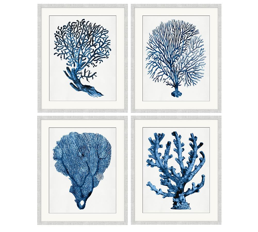 Coral in Blue Framed Prints | Pottery Barn (US)