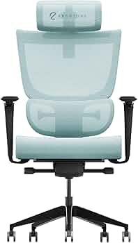 ErgoTune Supreme Ergonomic Office Chair - Adjustable Backrest Desk Chair, Lumbar Support, Headres... | Amazon (US)
