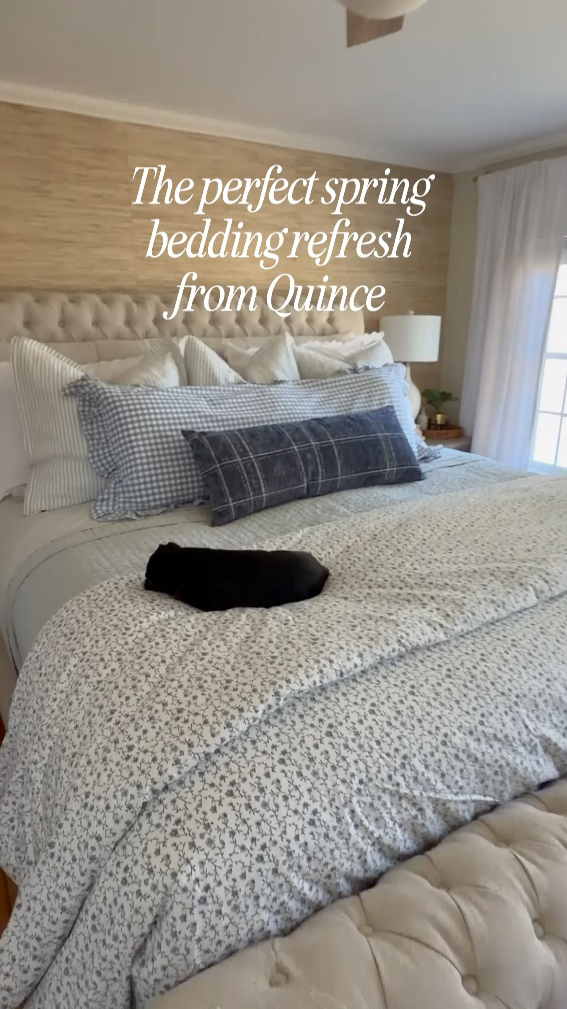 If you need a bedding refresh for spring, look no further than Quince! I found the scalloped shams with blue piping, and they lead the way for the theme of the refresh! The European Linen Euro Shams are also a showstopper!
But the star is the Linen Cotton Quilt that is such an incredible quality for a fraction of the price!
#QuincePartner @onequince
 

 #LTKSeasonal #LTKHome