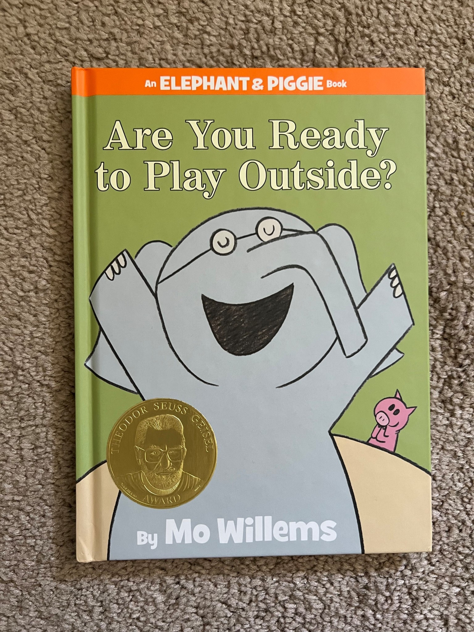 Kid's Book: Are you Ready to Play Outside!

#LTKxMadewell #LTKBaby #LTKKids