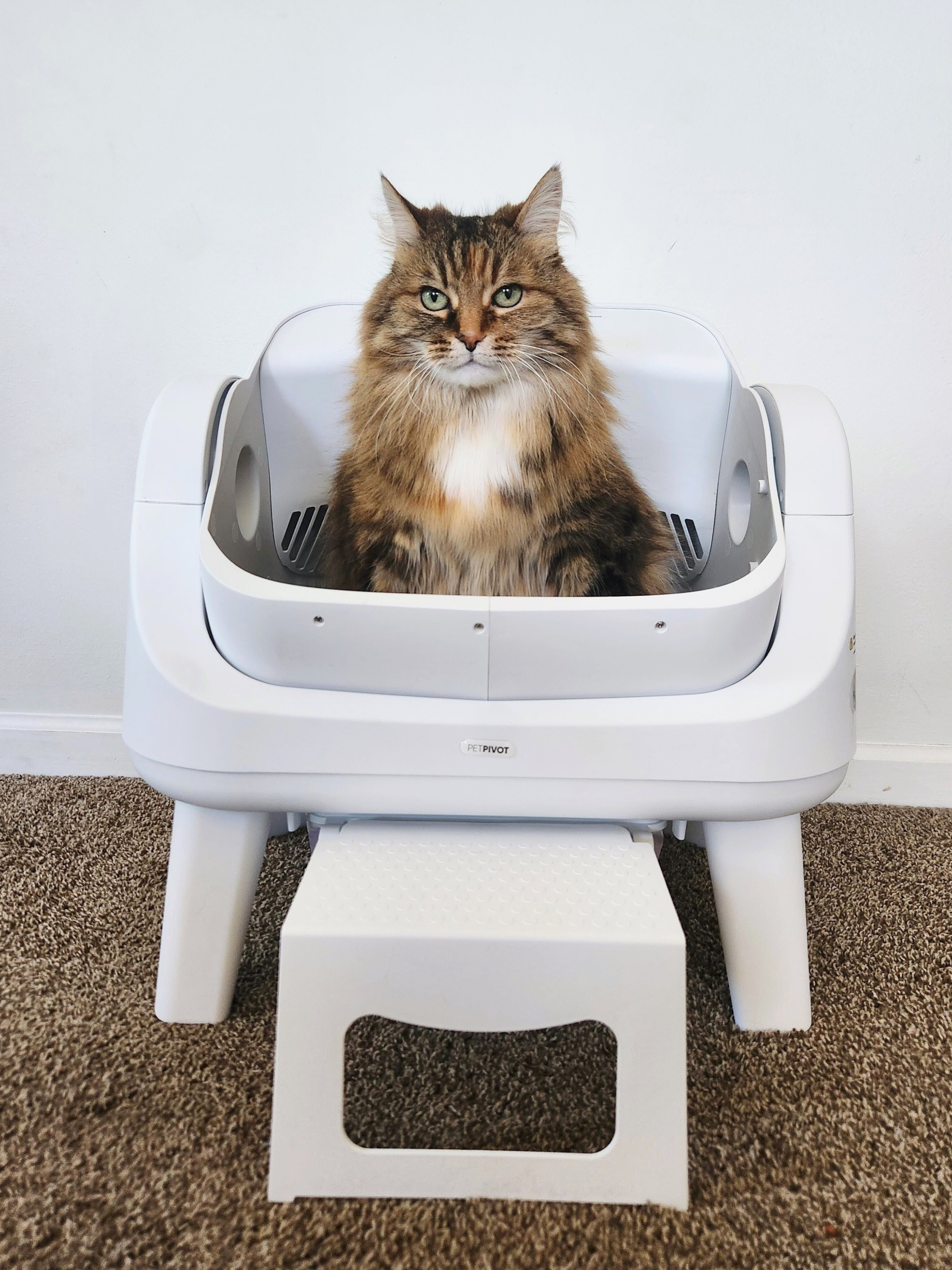 #ad @PetPivot Is A Team Of Cat Lovers & Designers Dedicated To Creating Cleaner, Smarter & More Peaceful Spaces For Pets😺🐾They Craft Products That Simplify Your Daily Care Routine, So You Can Focus On What Truly Matters, Keeping Your Cat Happy, Healthy & Close By Your Side💞This Litter Box Cleans After Every Use, So Litter Stays Fresh, Without The Daily Routine🧽7️⃣ Pairs Of Infrared Sensors Work Together To Monitor Your Cat's Position From Multiple Angles, Providing Near Full-Coverage Detection With Minimal Blind Spots🎦Open, Spacious & Inviting, Designed To Feel Instinctive For Cats Of Every Size🐈🐈‍⬛️Just Plug In & Go🔌Nothing To Set Up, Nothing To Manage, Nothing In The Way☑️Get Yours Today, Linked In My Bio⤴️#Sponsored #PetPivot #LitterBox #NoScopping

