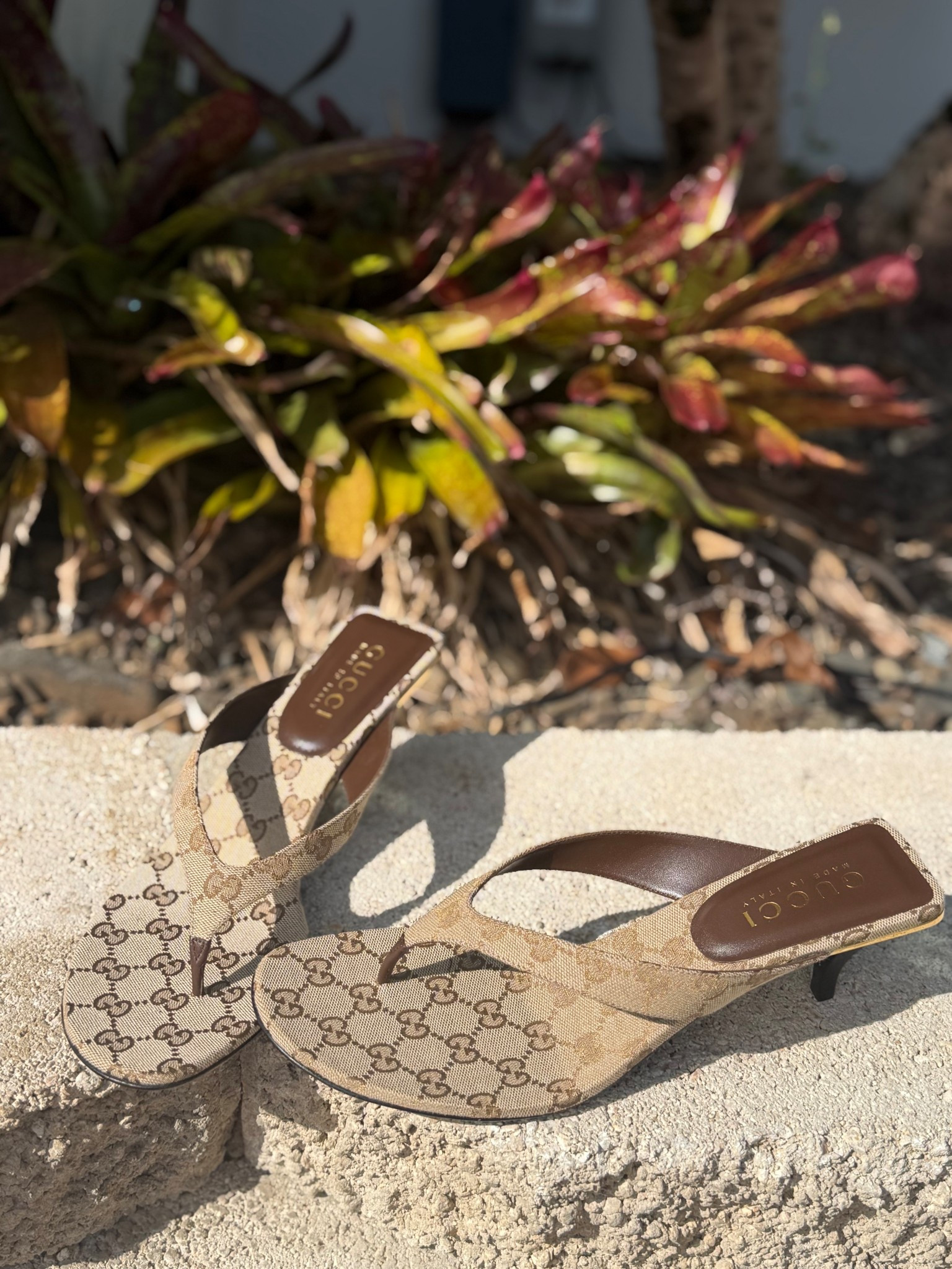 Kitten heels gucci 

#LTKPlusSize #LTKU #LTKMothersDay