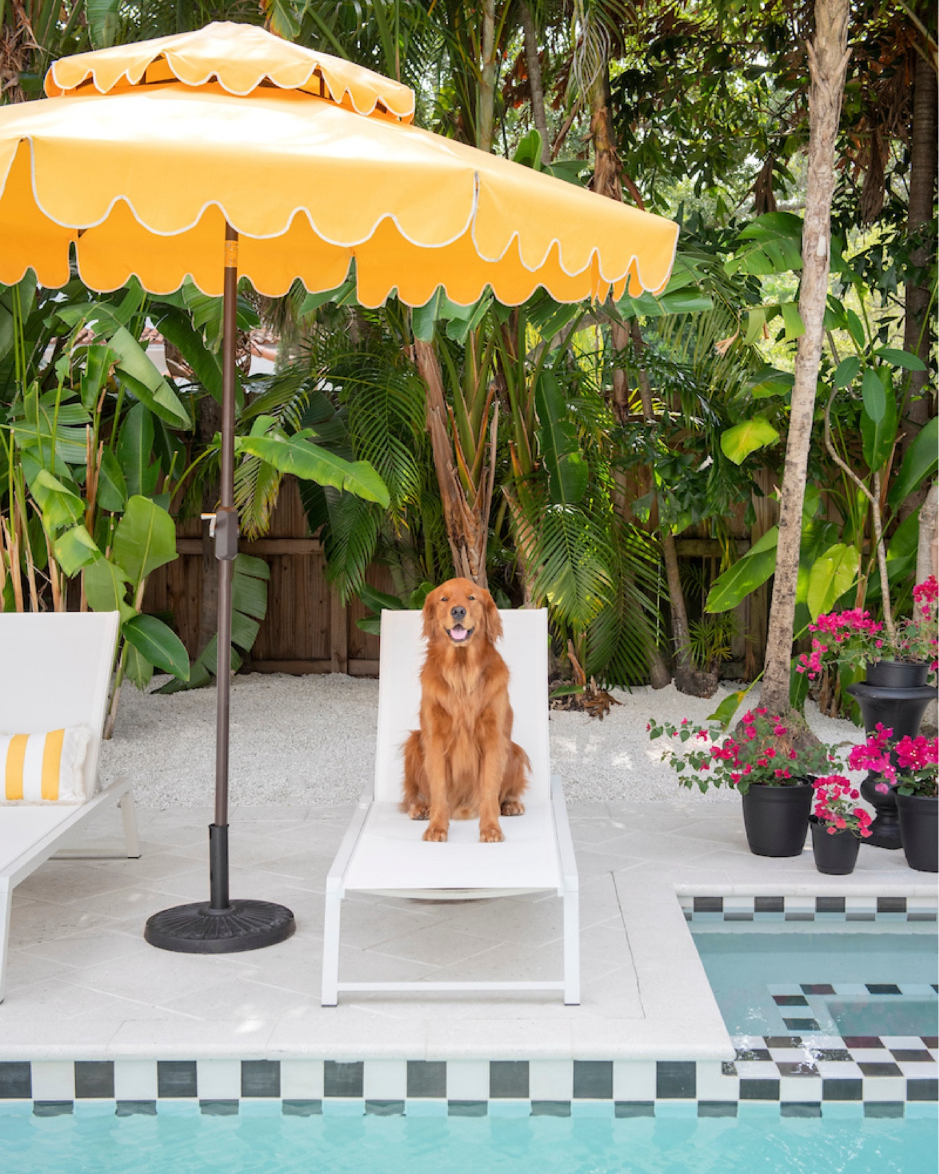 Outside Ann Lopez’s Miami Home: A stunning black and white checkered pool and outdoor space design. Shop this amazing space. (Pup not included) #pooldesign #outdooroasis #miamidesign 

#LTKHome #LTKSwim
