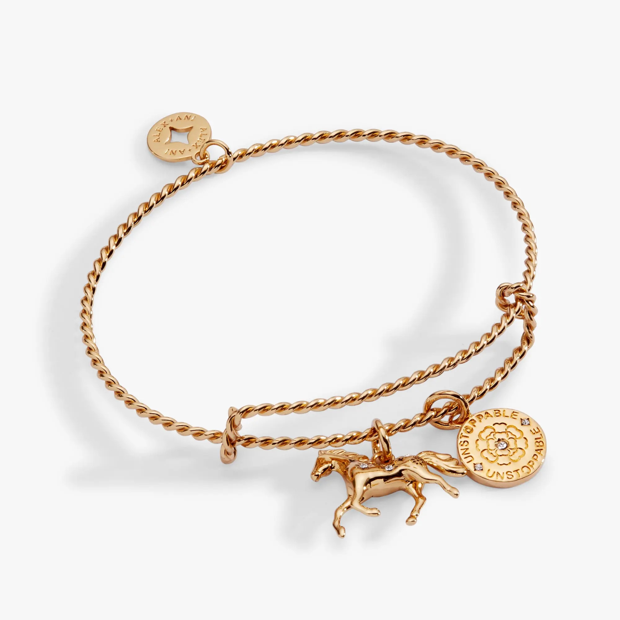 Horse Rope Textured Charm Bangle Bracelet (Women) | Nordstrom | Nordstrom