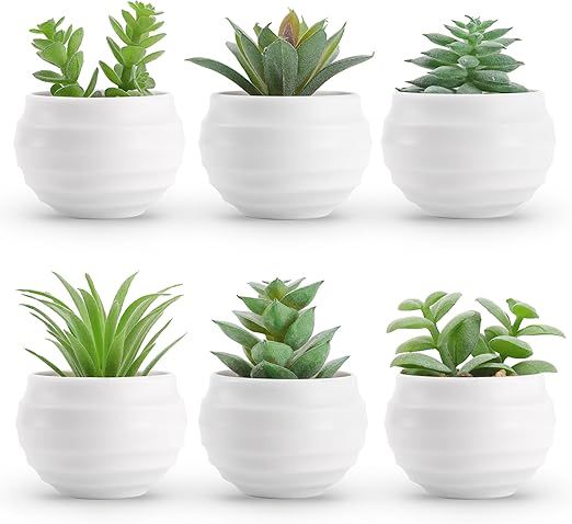 Der Rose Set of 6 Succulents Plants Artificial in Pots Small Fake Plants for Bedroom Aesthetic Li... | Amazon (US)