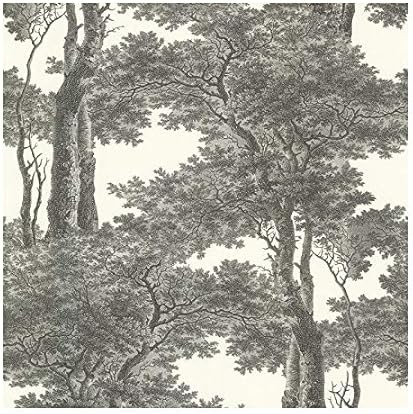 Check out what I found on Amazon! | Amazon (US)