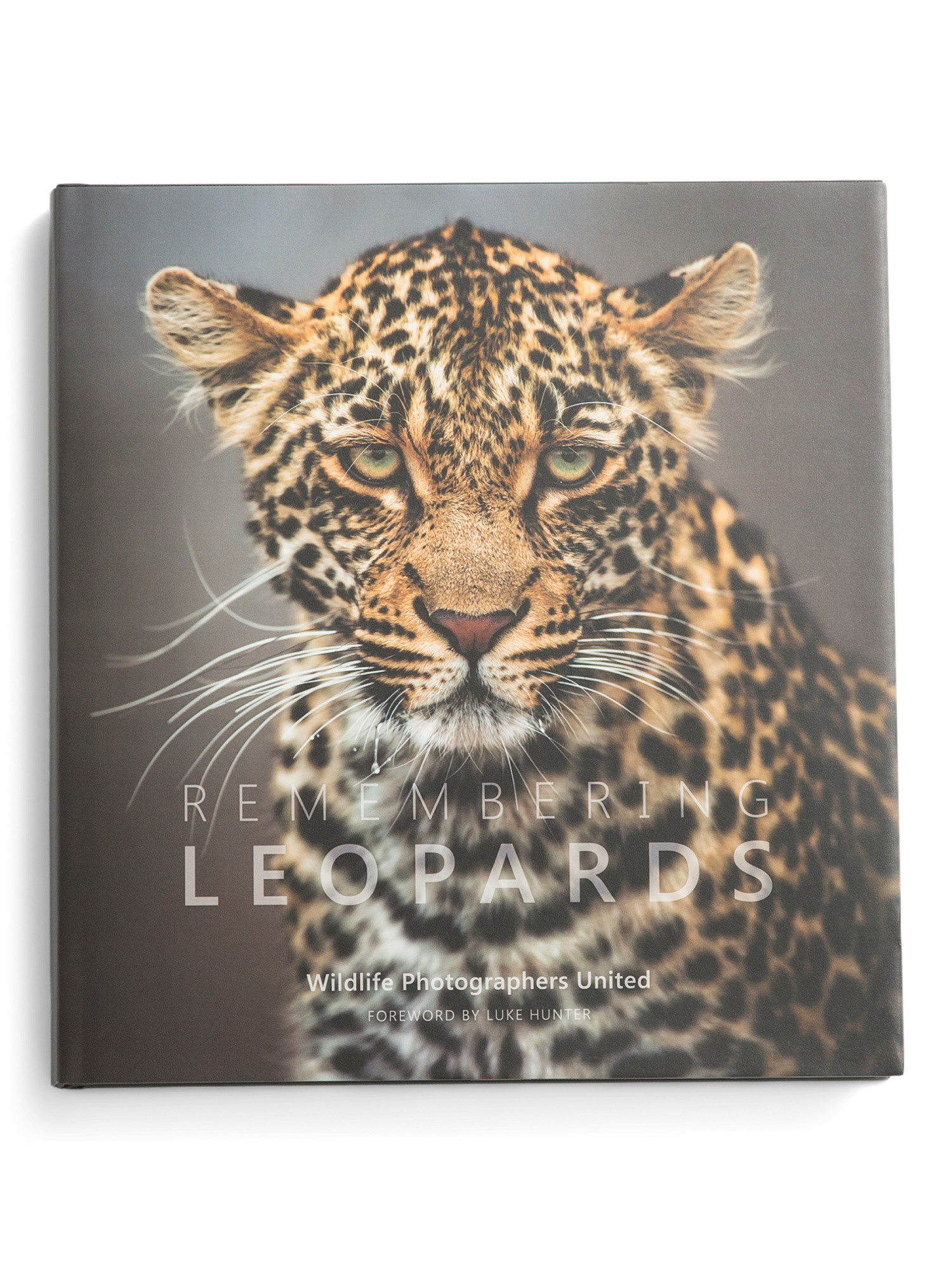 Remembering Leopards Book | TJ Maxx