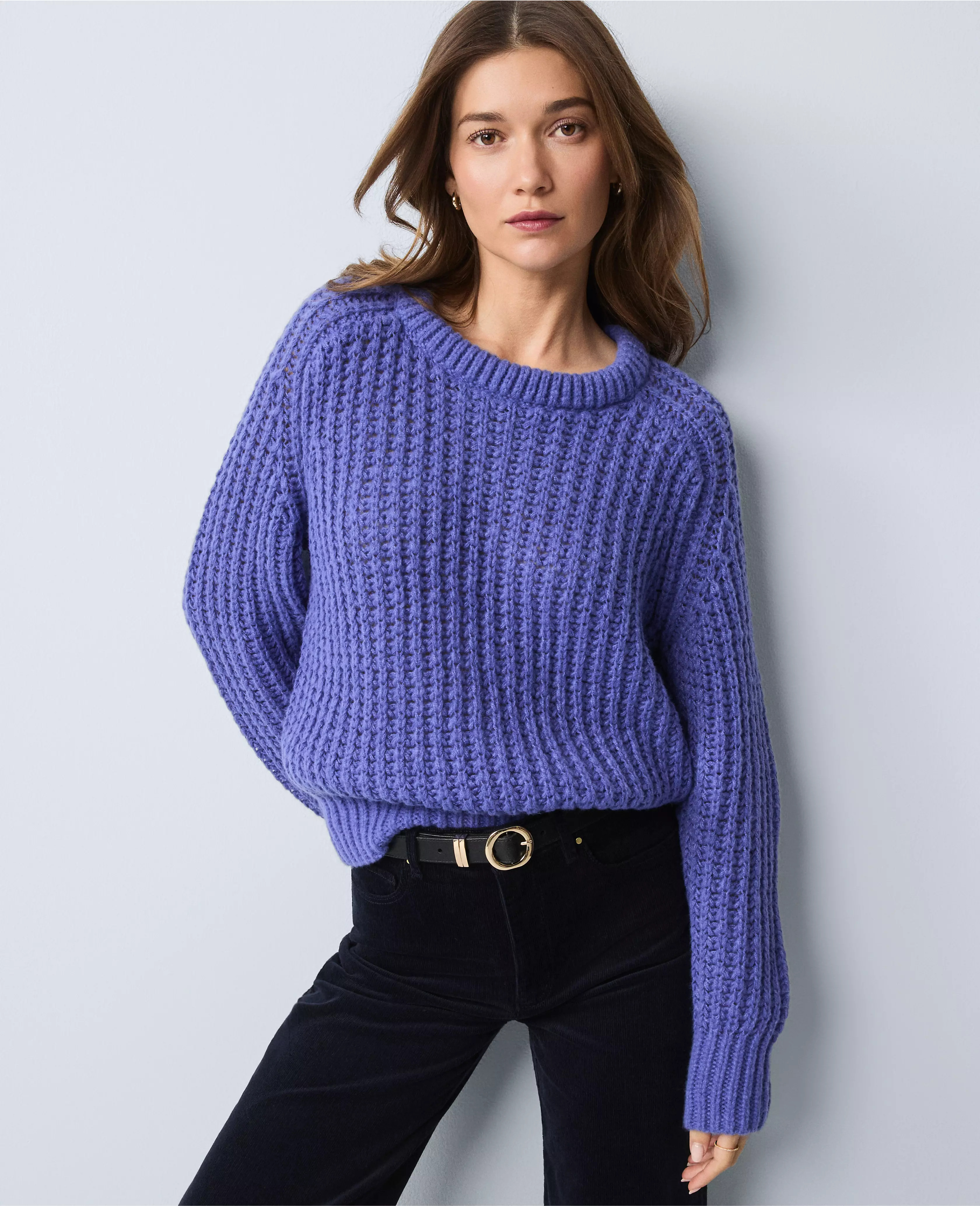 Weekend Collection Cozy Crew Neck Sweater | Ann Taylor