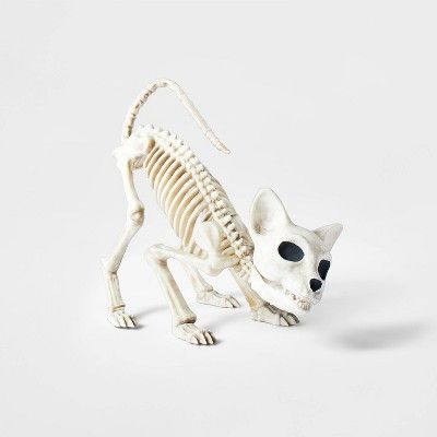 Small Crouching Skeleton Kitten Halloween Decorative Prop - Hyde & EEK! Boutique™ | Target