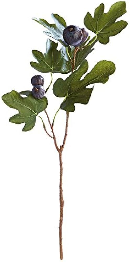 NAPA Home & Garden FIG Stem with Figs 21.5" | Amazon (US)