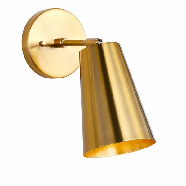 Parksley Iron Armed Sconce | Wayfair North America