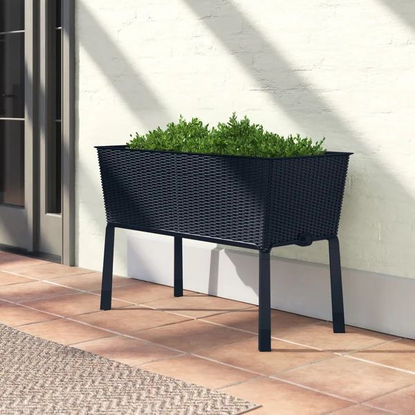 Kenyen 1 - Piece Plastic Elevated Planter | Wayfair North America