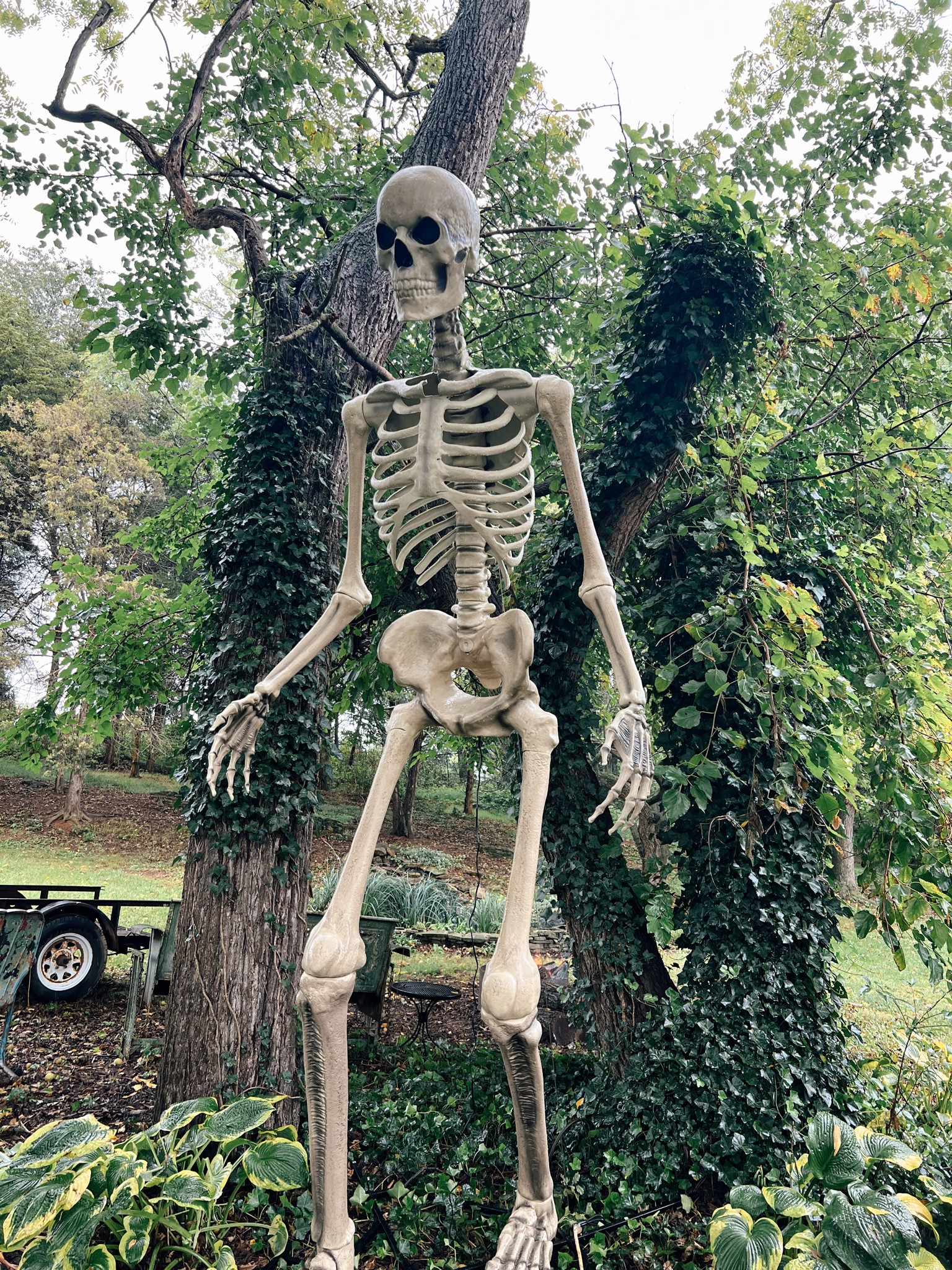Viral Home Depot Skeleton

#LTKFallSale #LTKSeasonal #LTKHome