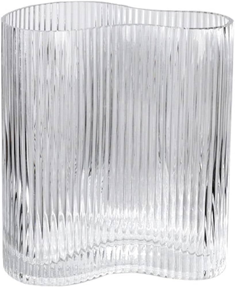 Zerodeko 1pc Transparent Glass Vase Decor Unique Transparent Vase Adornment Water Planting Contai... | Amazon (US)