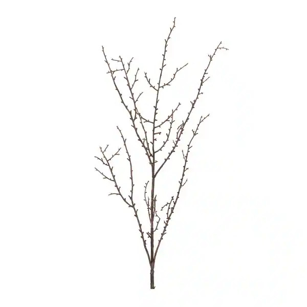 Birch Twig Branch (Set of 6) | Bed Bath & Beyond