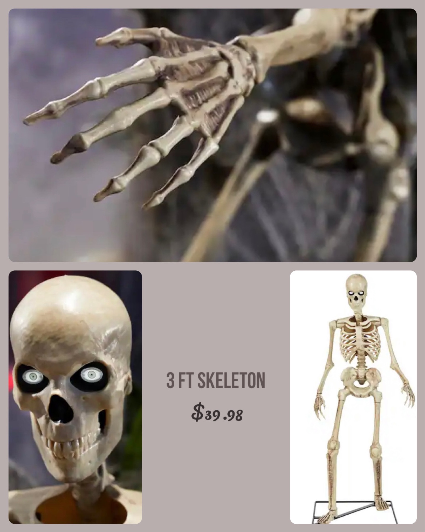 3ft skeleton with led eyes from Home Depot. Sibling of the 12 ft skeleton! Halloween outdoor decor. Spooky season. Home accents holiday.

#LTKhome #LTKHalloween #LTKfindsunder50