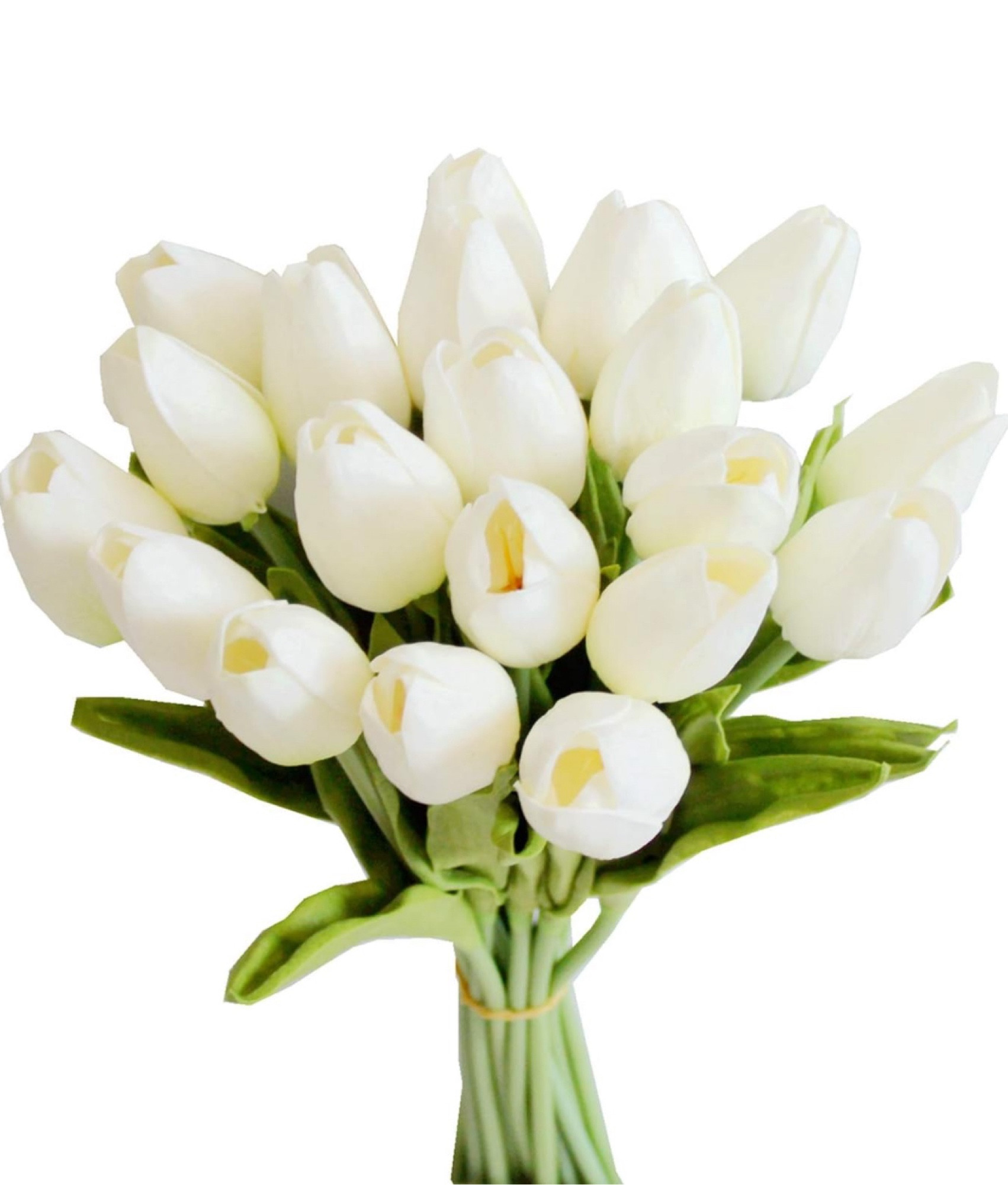 FLOWER POWER 🤍

#LTKhome #LTKfindsunder50