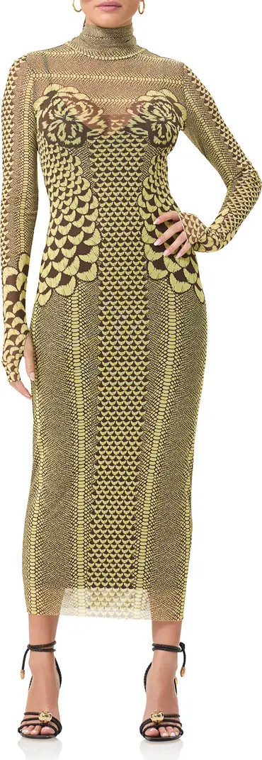 Shailene Long Sleeve Turtleneck Mesh Dress | Nordstrom