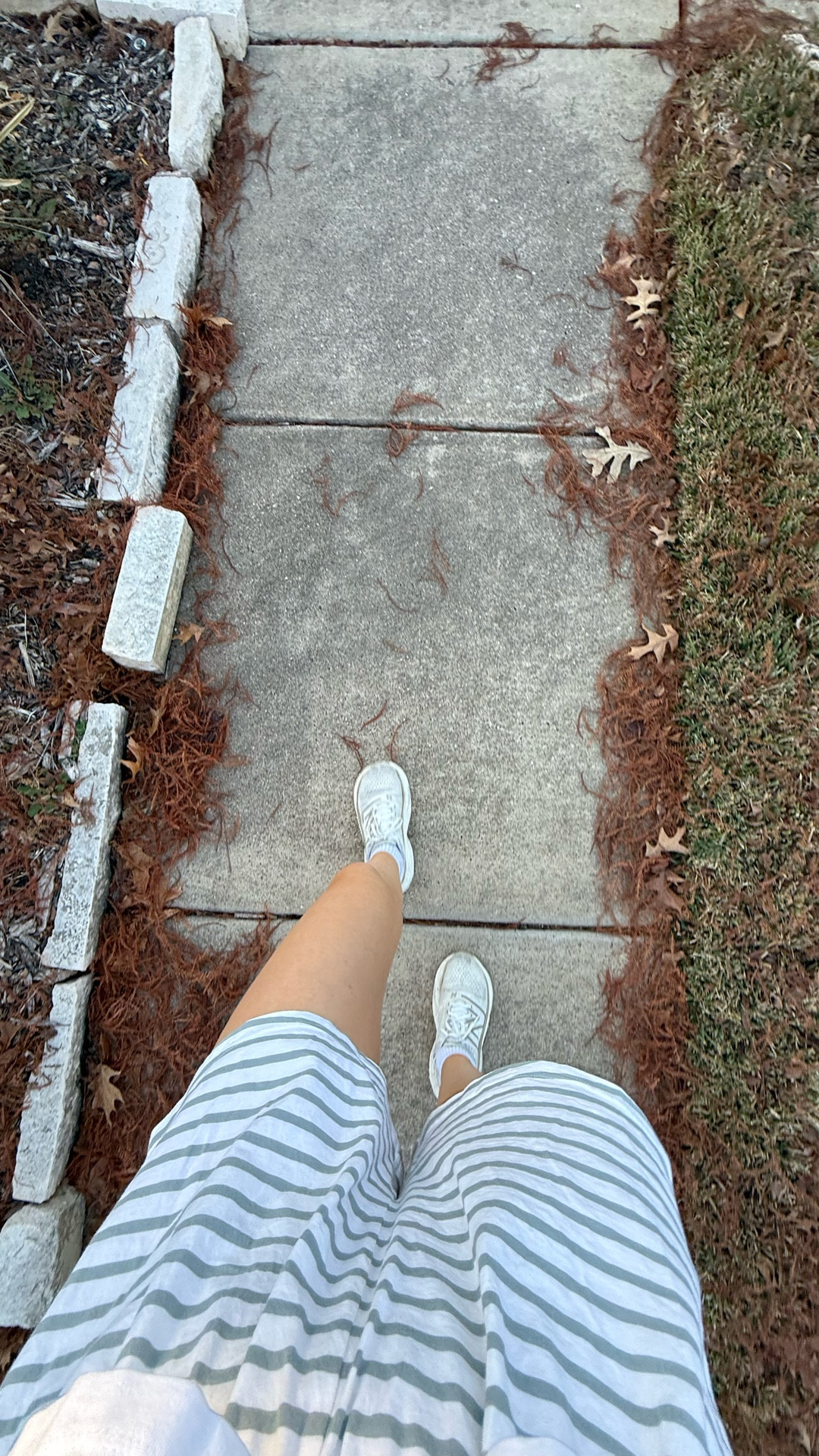 merry fitmas everyone!!!!

#LTKActive #LTKvlog #LTKfitnessgoals