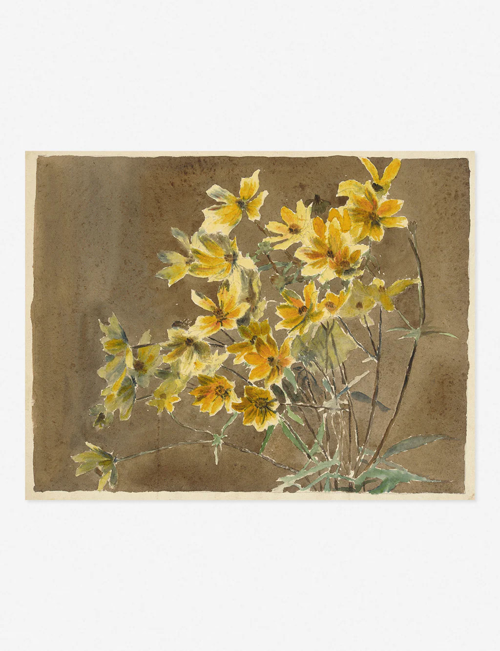 Yellow/Orange Flower with Border Print | Lulu and Georgia 