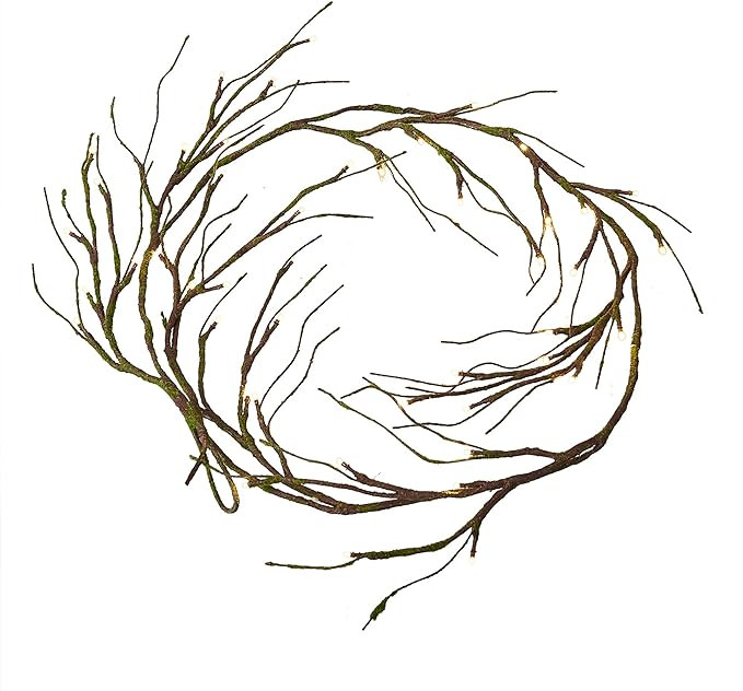 Hairui Mossy Garland Lights 6FT 48 LED Battery Operated Lighted Twig Vine with Timer for Hallowe... | Amazon (US)