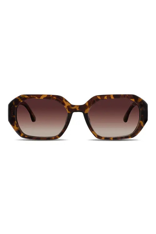 Velvet Eyewear Nina Sunglasses in Tortoise at Nordstrom | Nordstrom