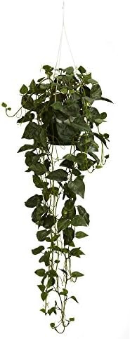 Nearly Natural Philodendron Hanging Basket Silk Plant | Amazon (US)