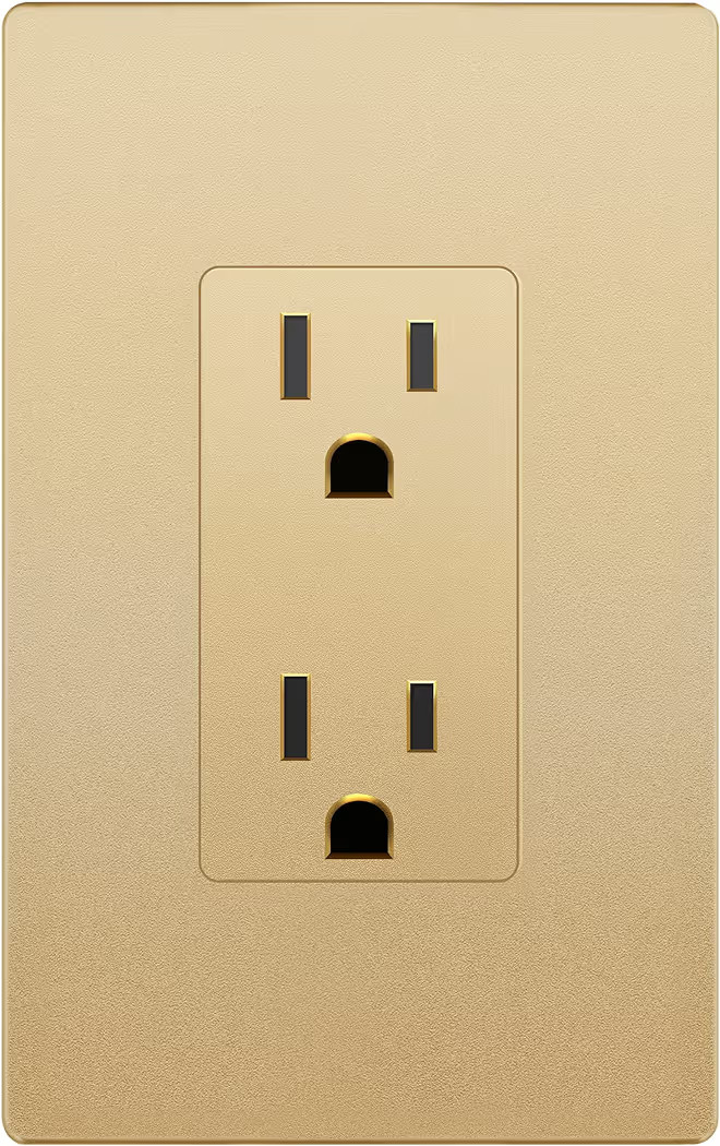 LIDER Matte Finish Decorator Receptacle with Interchangeable Face Cover, Child Safe Tamper-Resist... | Amazon (US)