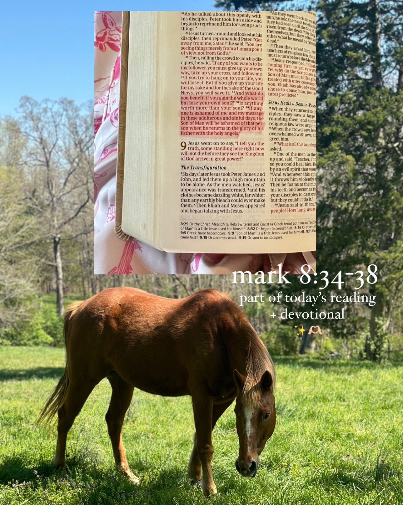 Today’s Bible verse of the day | in the New Testament Jesus is speaking about what it TRULY means to follow Him! 

key points:
	•	Discipleship requires sacrifice.
	•	True life is found through surrender, not self-preservation.
	•	The soul is more valuable than anything on earth.
	•	Faith in Jesus must be bold, not hidden.

This passage still hits hard today—especially in a world that often values comfort, image, and success over spiritual truth. Jesus is reminding us that following Him might cost us something—but it’s the only way to gain everything that truly matters. ✨🫶🏻

#LTKFamily #LTKU