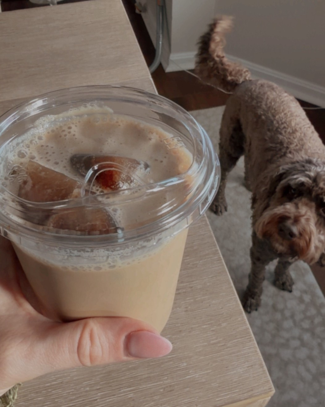 coffee at home 🥰

#LTKdayinmylife #LTKHome