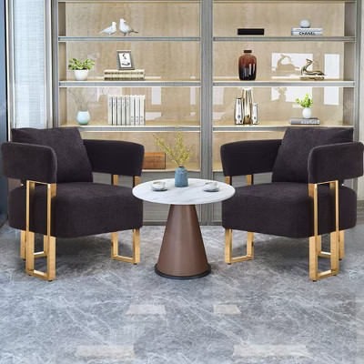 PAGED Modern Accent Chair Teddy Fleece Upholstered Living Room Chairs with Gold Metal Legs for Living Room, Study, 2Pcs, Black+Gold | Target