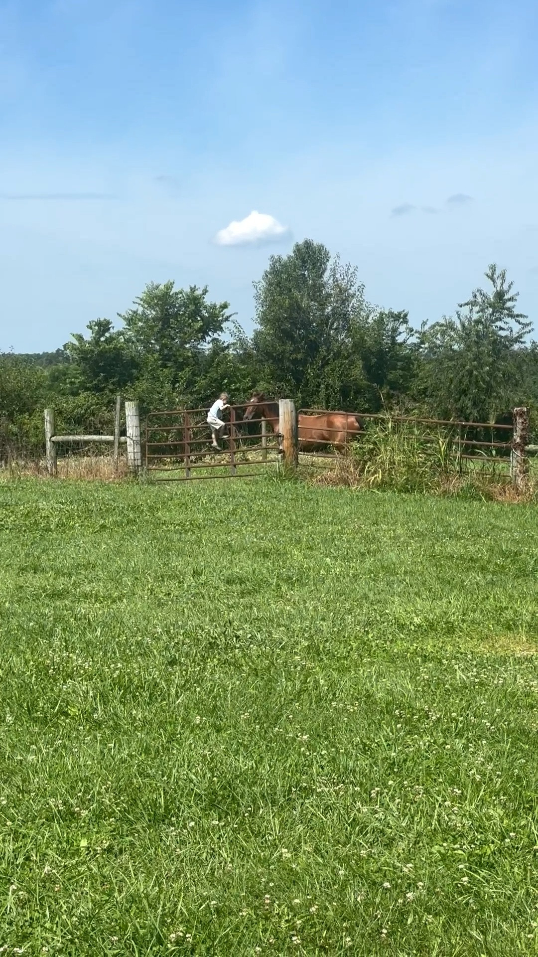 Welcome to the farm May 🤍 picking up her saddle tomorrow 🥹 so polar opposite from our ruby girl but we’re so happy to have her here!

#LTKgrwm #LTKootd #LTKmomlife