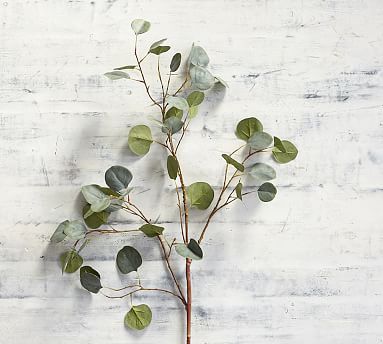 Faux Silver Dollar Eucalyptus Branch | Pottery Barn (US)