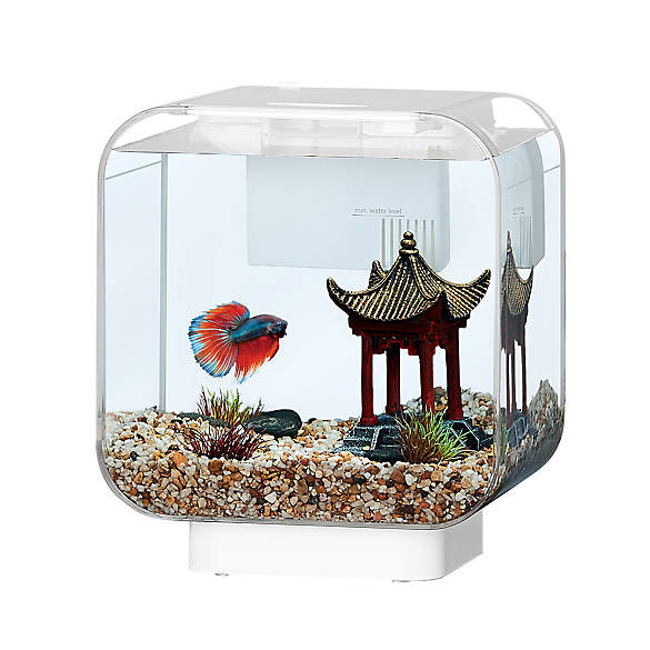 Top Fin® Clear Vivid View Aquarium - 3 Gallon | PetSmart