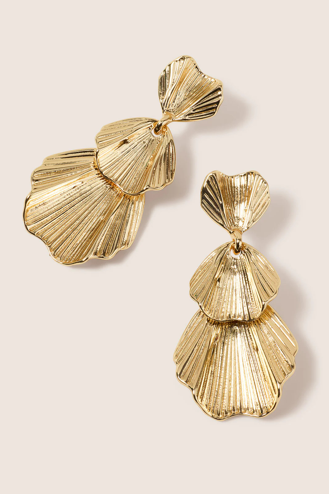Adriana Seashell Earring | Evereve