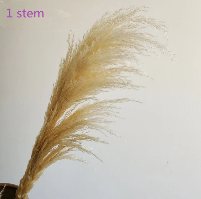 3 pcs Dried Pampas-30'' -38 L | Etsy (US)