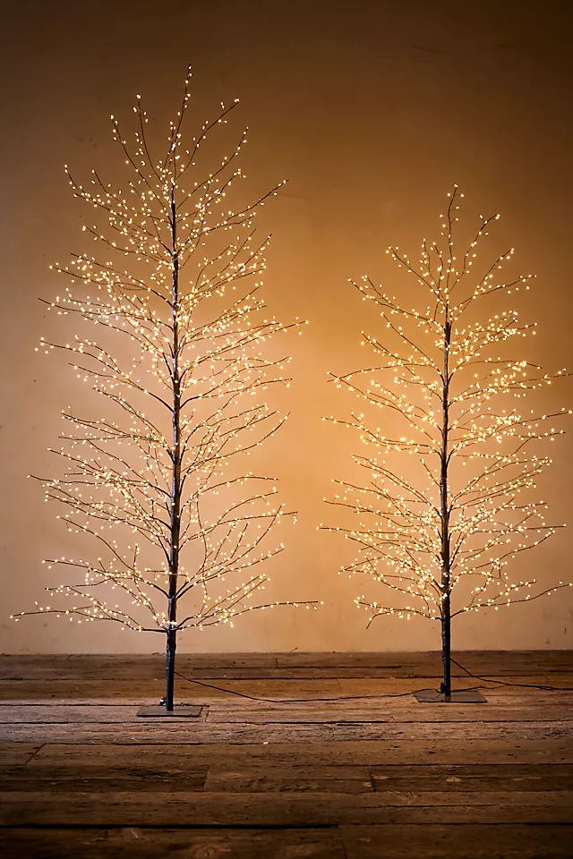 Stargazer Nature Effects LED Outdoor Tree, Full | Anthropologie (US)